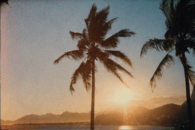 LITORÂNEA visual atmosphere
